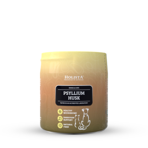 Holista Psyllium Husk 100 g