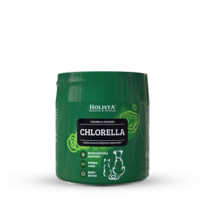 Holista chlorella 100 g