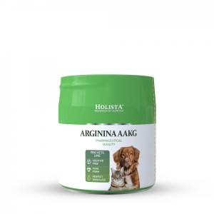 Holista Arginina AAKG 100g