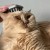 a837036acede0d34d995ec689e62ef28.jpg