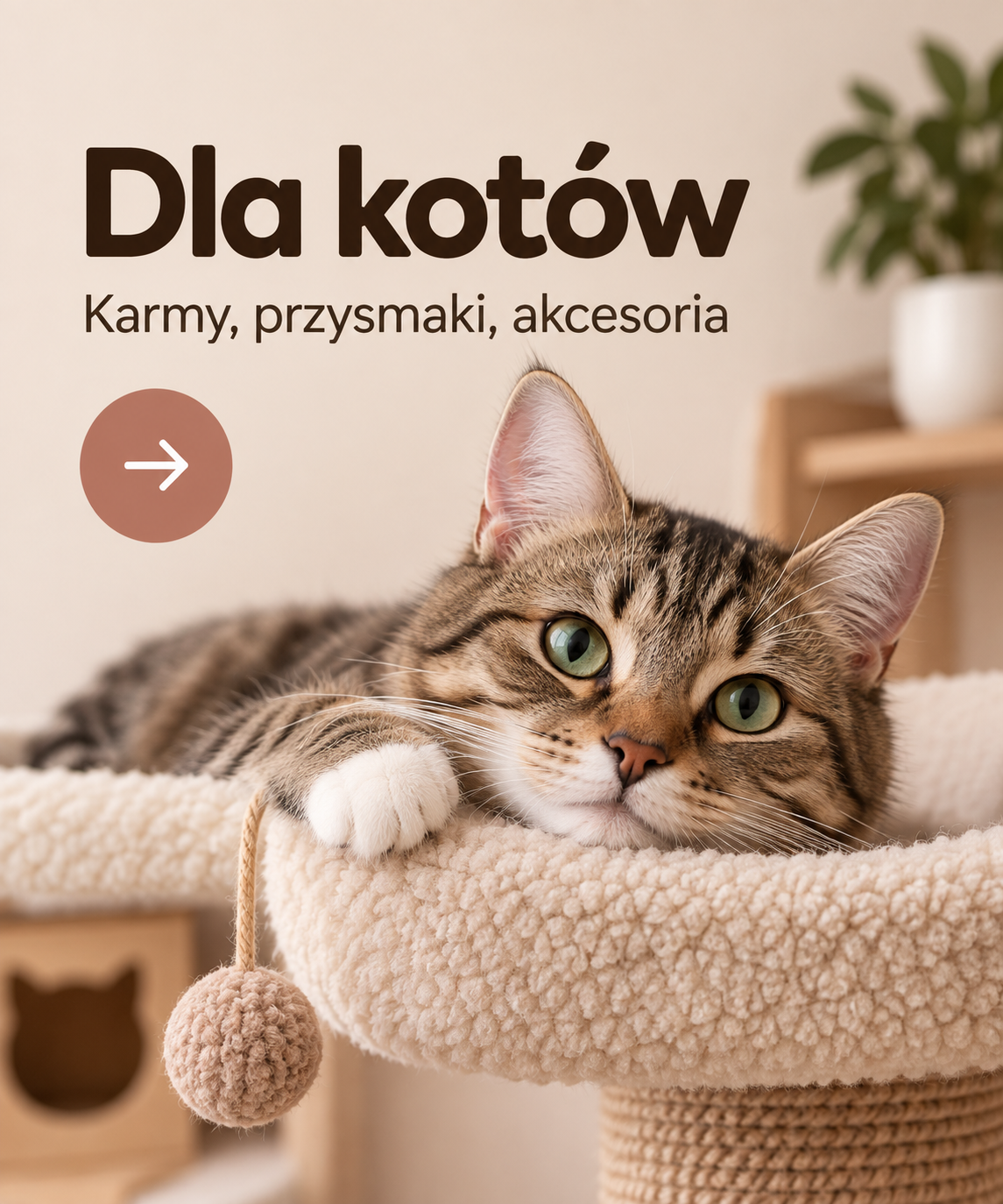 Dla kotów - karmy, przysmaki, akcesoria